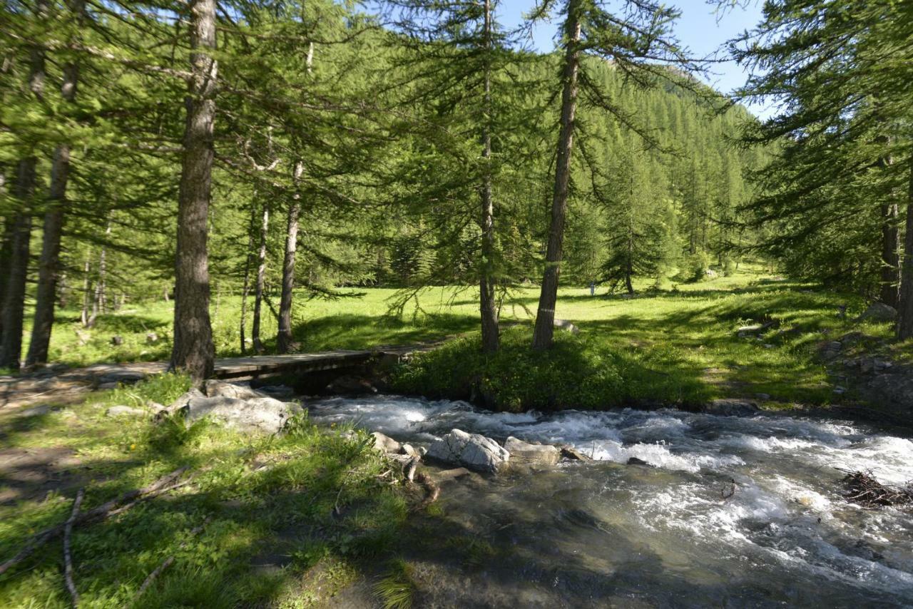 Studio Val Gardena 1 Пюи-Сен-Венсан Экстерьер фото